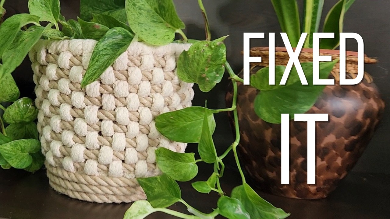 My indoor plants deserved a better pot 