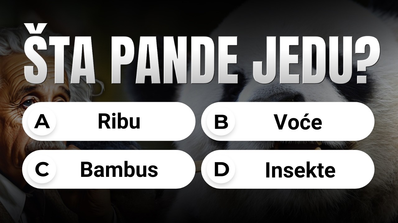 4 Kategorije. 20 Pitanja. Možeš li dobiti 20/20? (TEST ZNANJA) 🧠