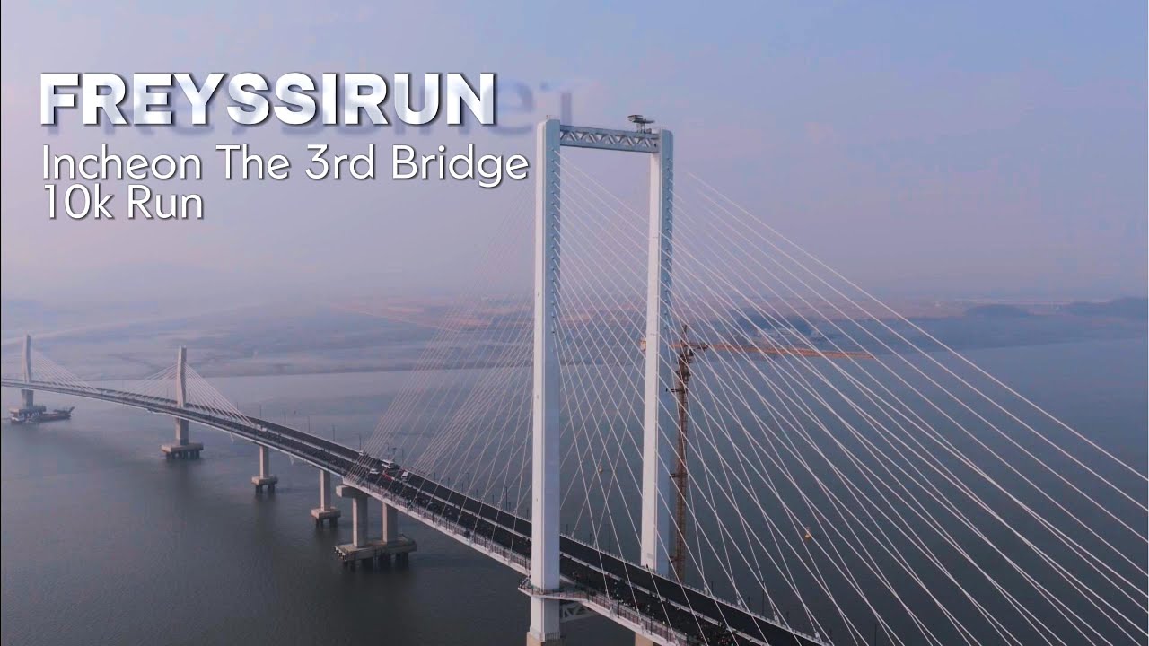 제3연륙교 개통기념 WALK&RUN Freyssirun crew
