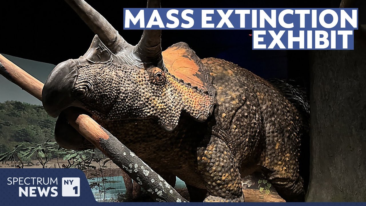 What really killed the dinosaurs? New AMNH exhibit dives deep