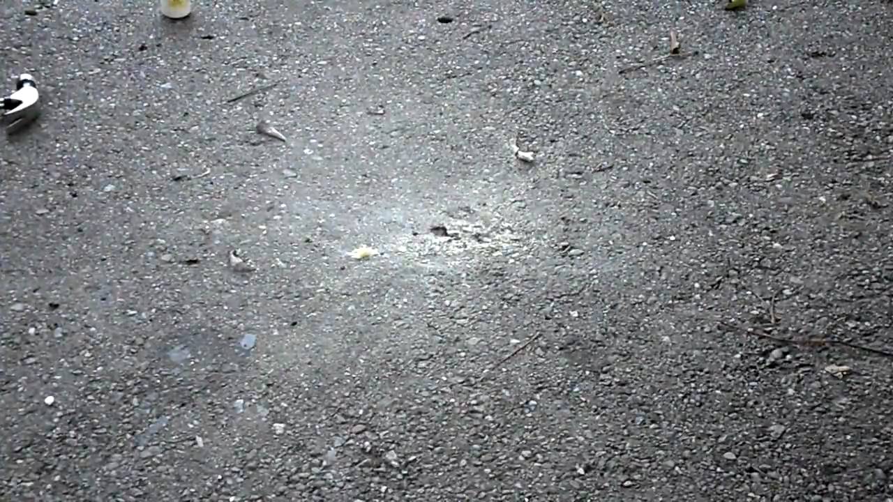 Explosion due to hammer action of Potassium Chlorate and Sulfer