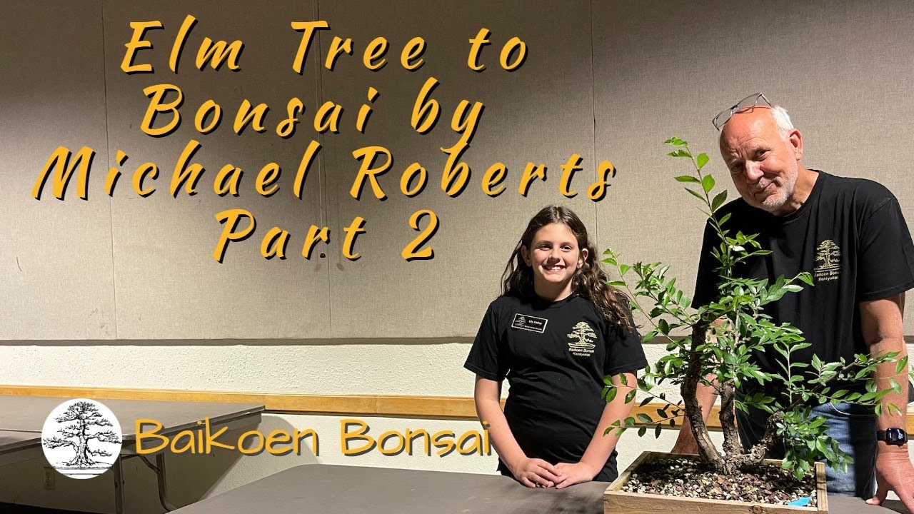 Cork Bark Elm to Bonsai Part 2 - Michael Roberts - April 2023- Club Meeting - Baikoen Bonsai Club