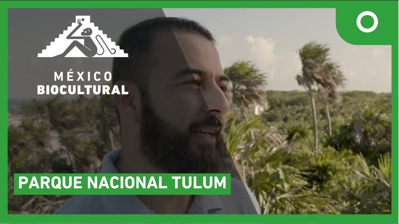 México biocultural - Parque Nacional Tulum (10/02/2025)