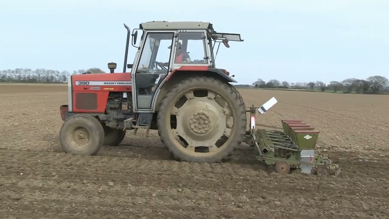 MASSEY FERGUSON 390 AND DAVID THOMAS DRILL
