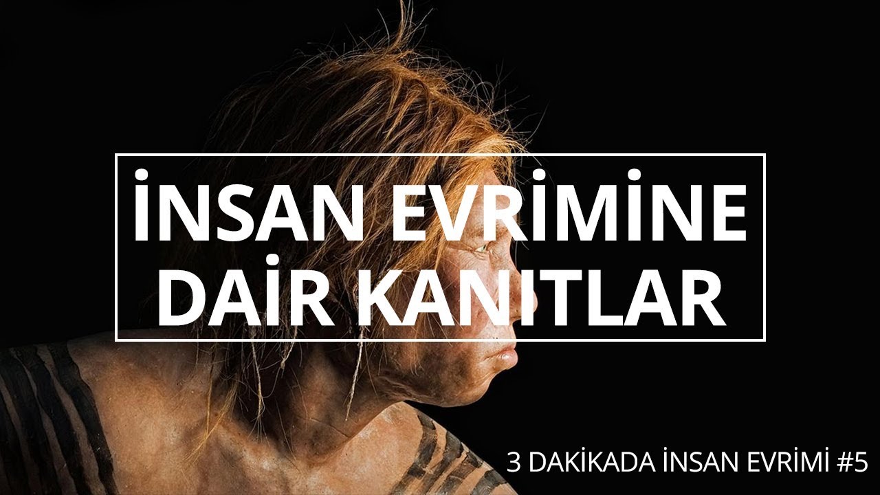İnsan evrimine dair kanıtımız var mı?! | 3 Dakikada İnsan Evrimi #5