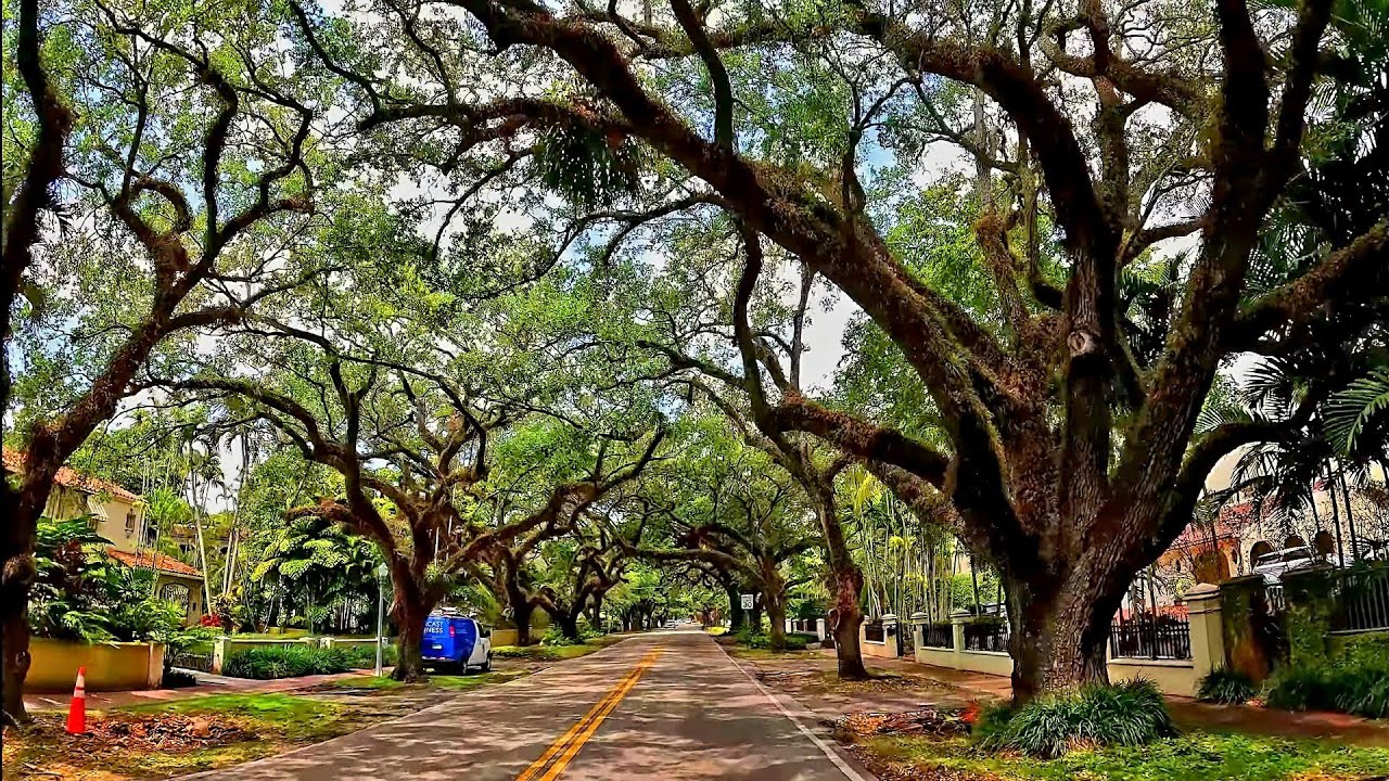 driving through Coral Gables