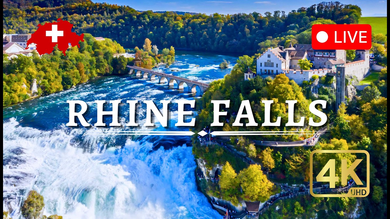 Live from Rhine Falls, Switzerland | Scenic Waterfall Sounds & Relaxing Nature View