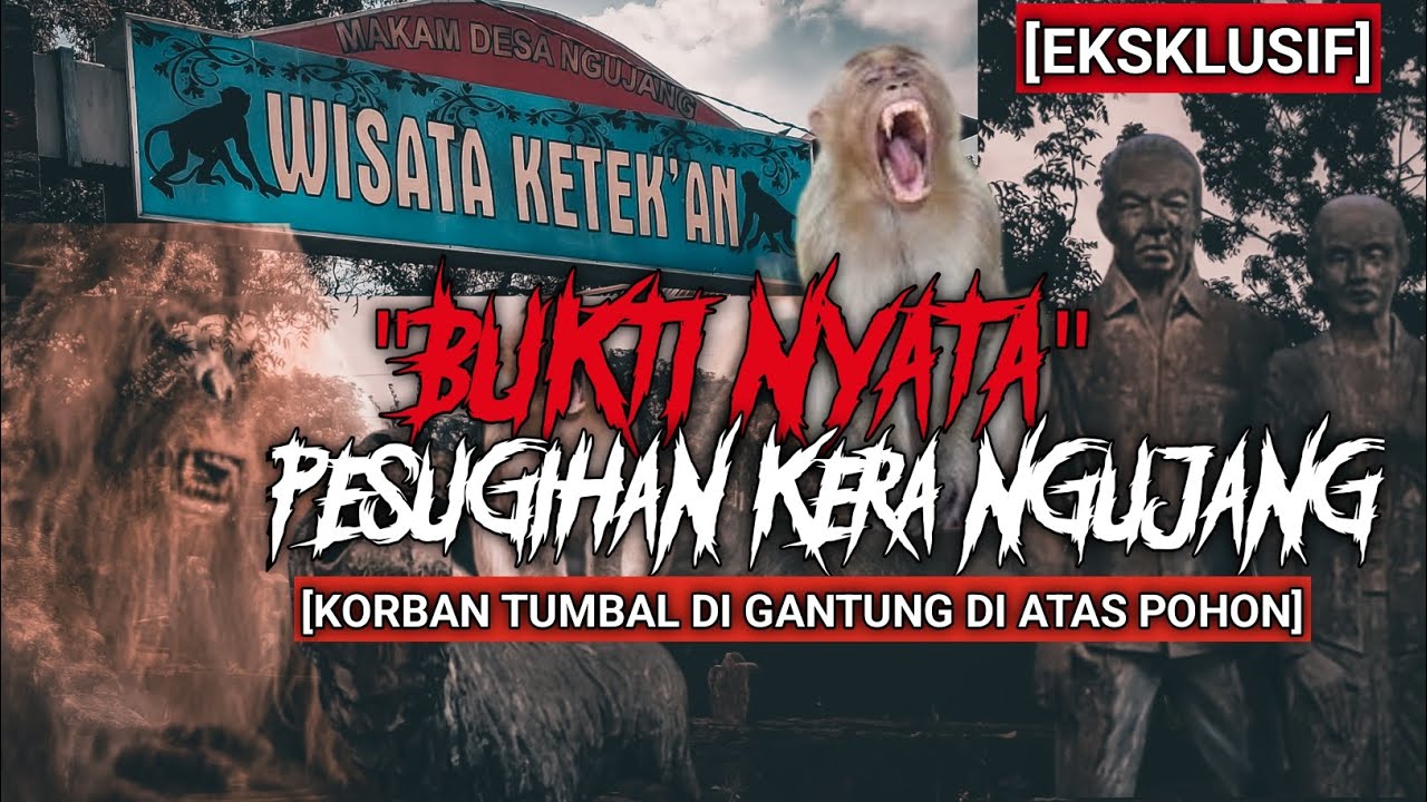 ASLI NYATA❗ PESUGIHAN KERA NGUJANG TULUNGAGUNG
