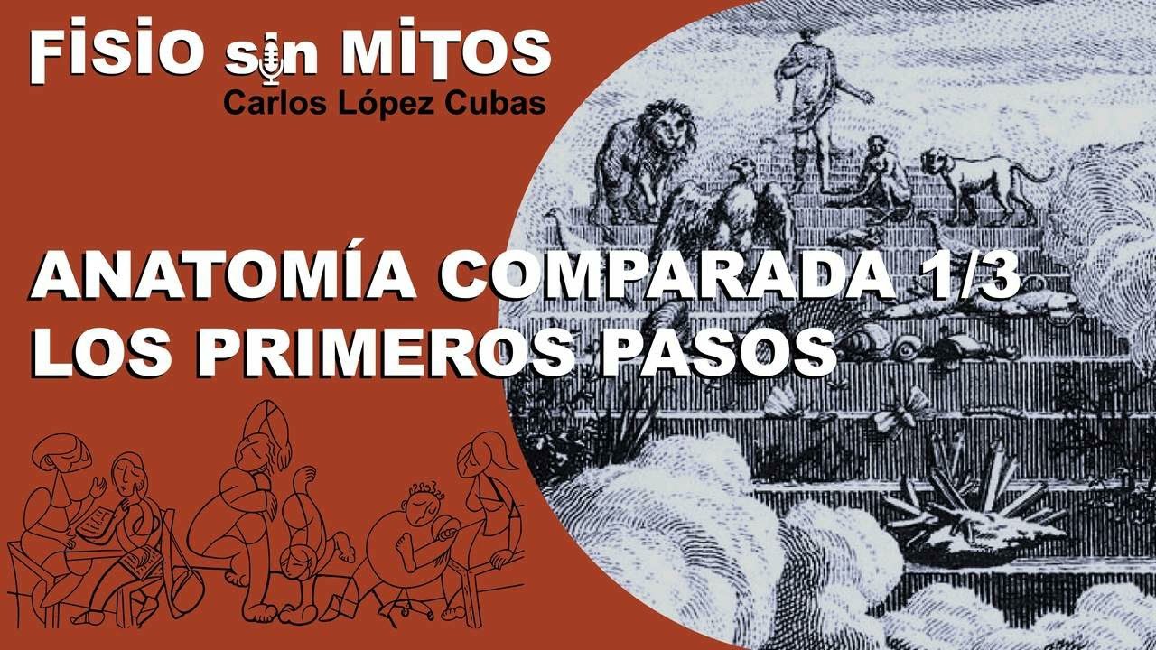 Anatom&iacute;a comparada 1/3: Los primeros pasos | Fisio sin Mitos | 2x04