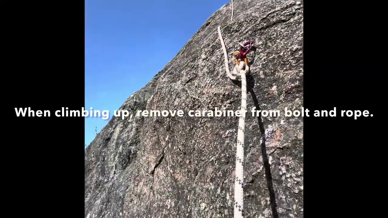 Rebelay. Using 2 carabiners & clove hitch.