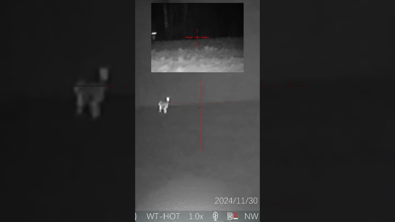 PARD LANDSAT 256 MINI #pard #latvija #wildlife #nature#deer #hunting #animals #stirnas #roedeer