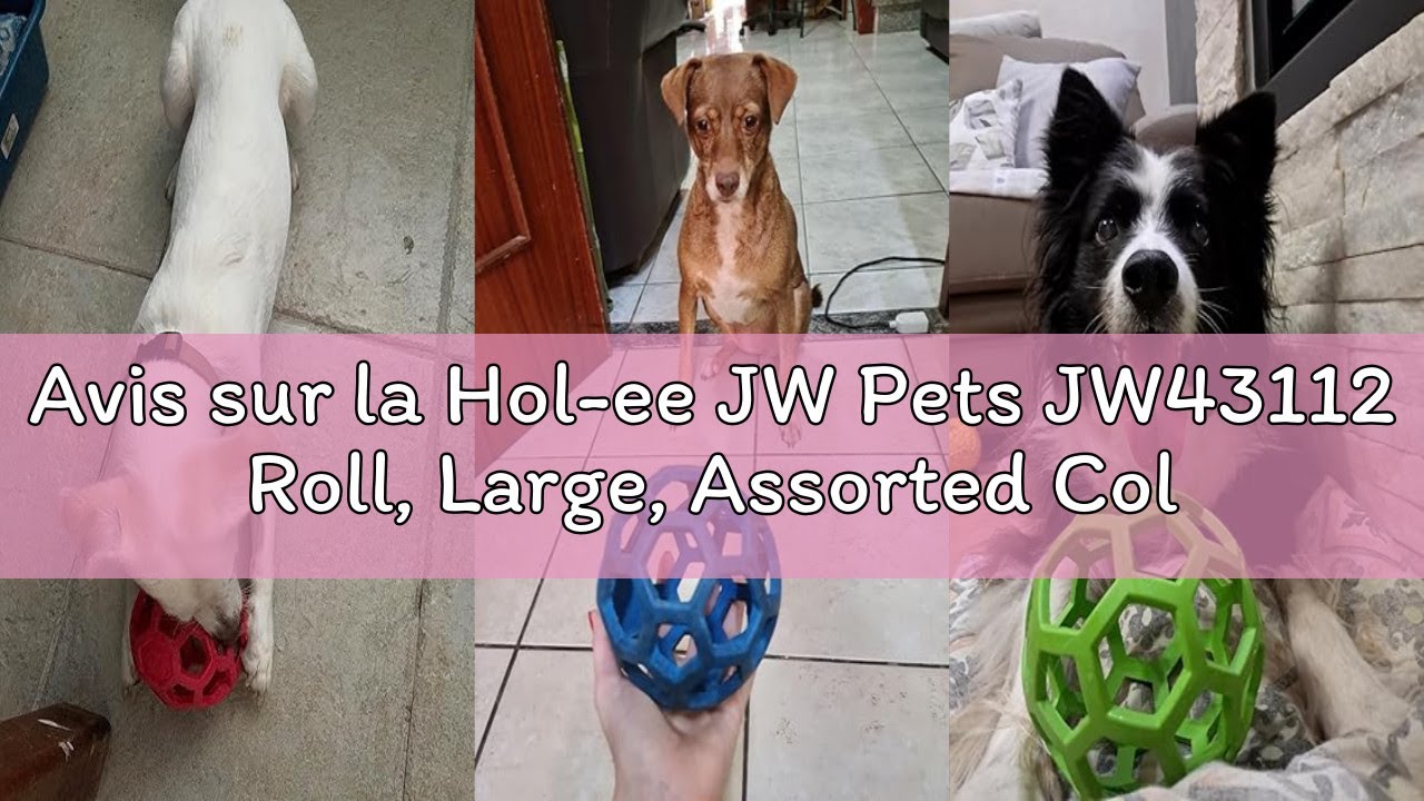 Avis sur la Hol-ee JW Pets JW43112 Roll, Large, Assorted Colours