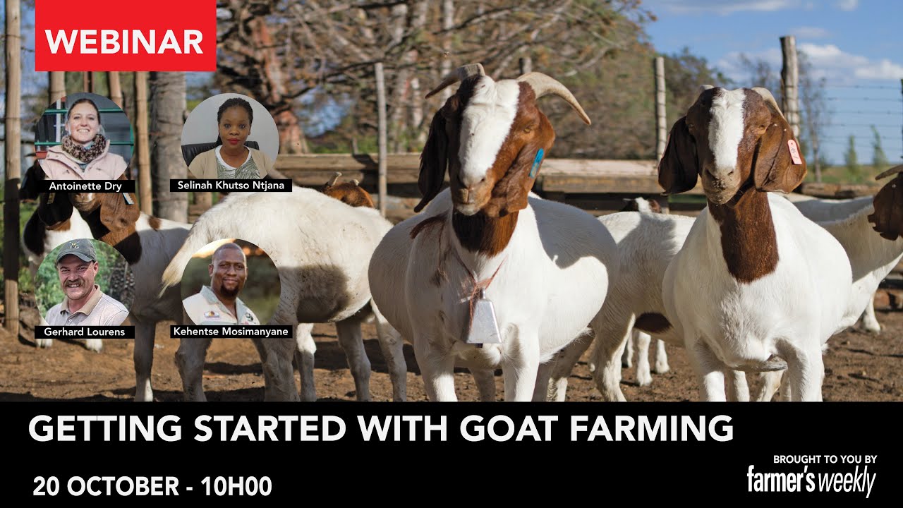 Webinar: Getting started with goat farming