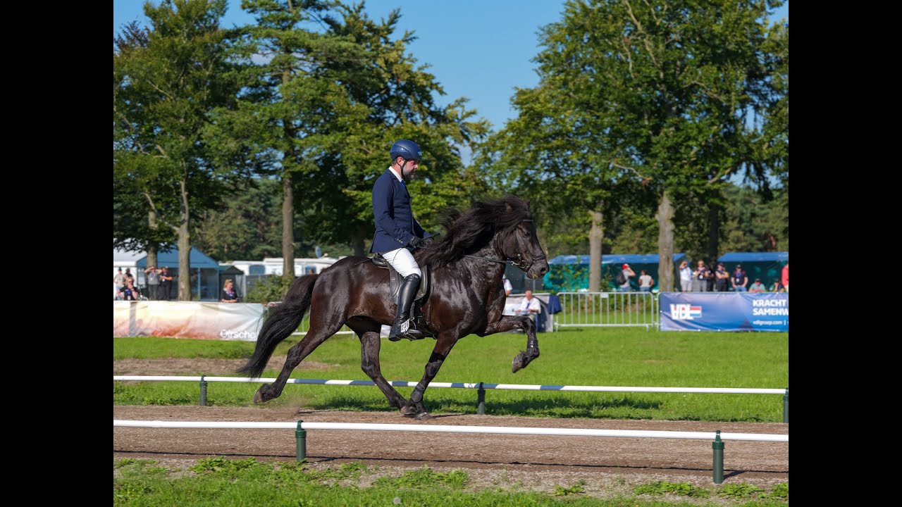 Impressionen WC Icelandic Horses 2023 | Islandpferde WM 2023 | WORLD CHAMPIONSHIPS 2023