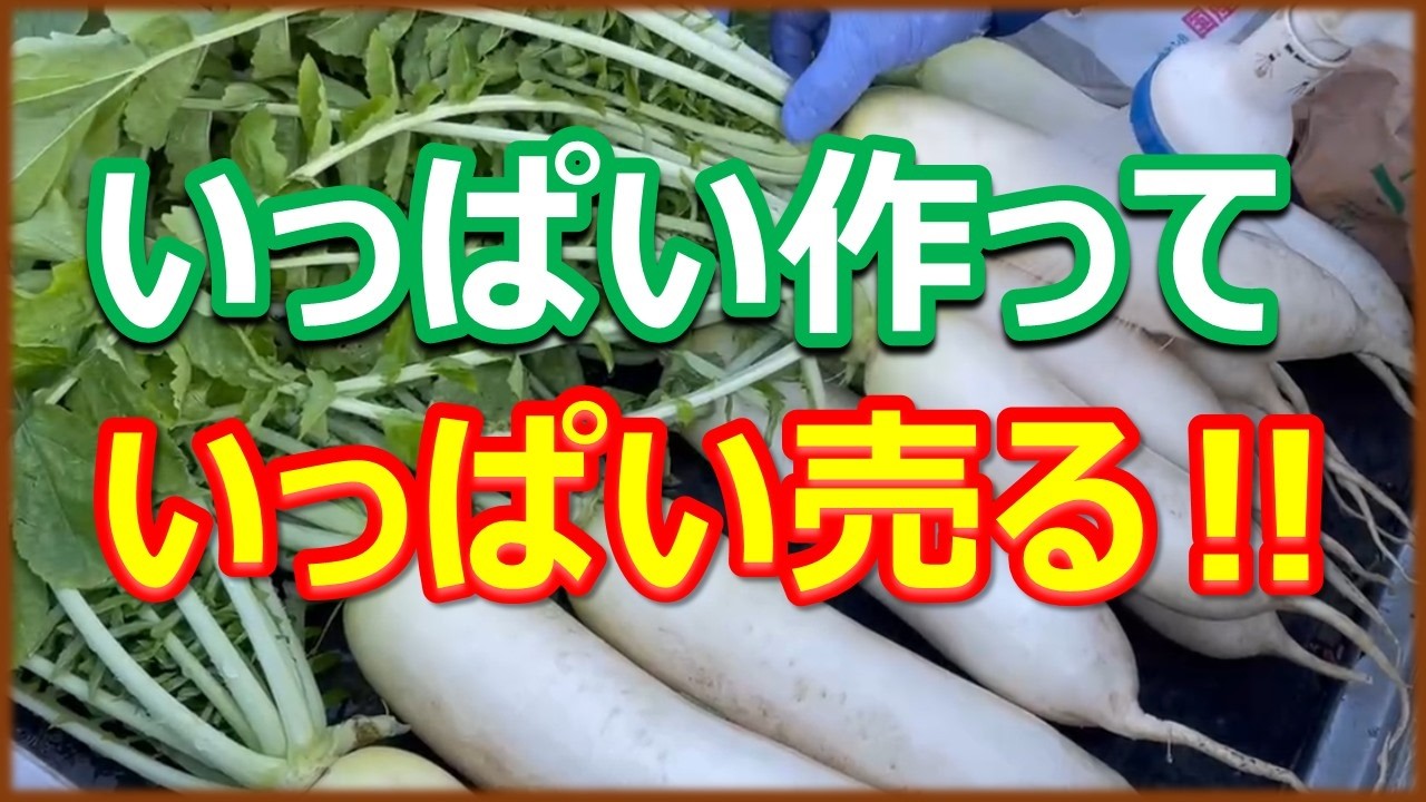 野菜はいっぱい売らないと売上が上がらない