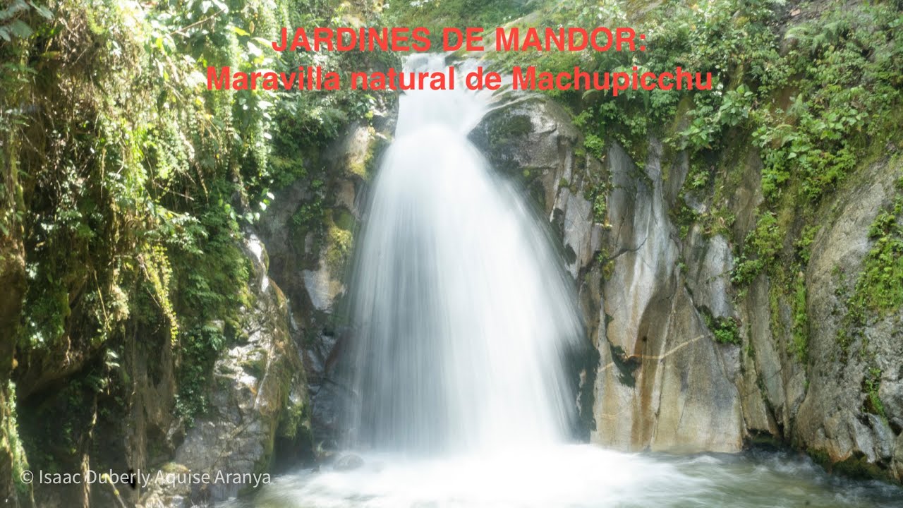 CAMINO A 