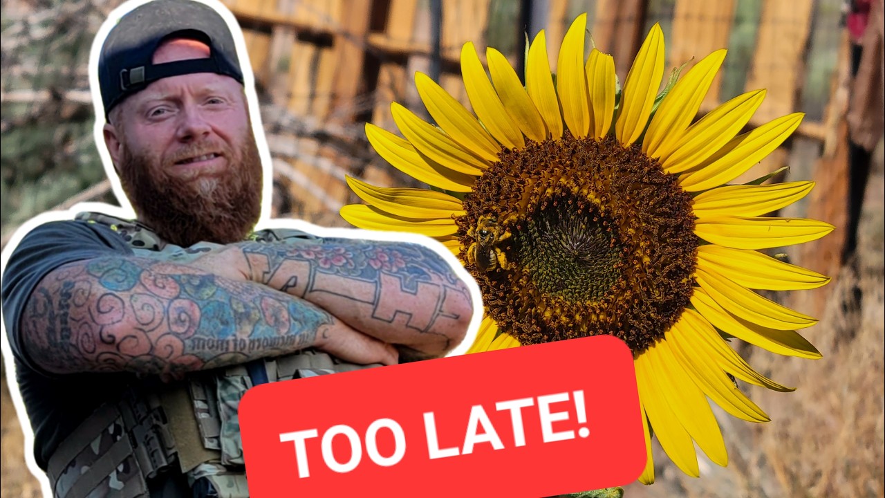 Start a HOMESTEAD with No MONEY