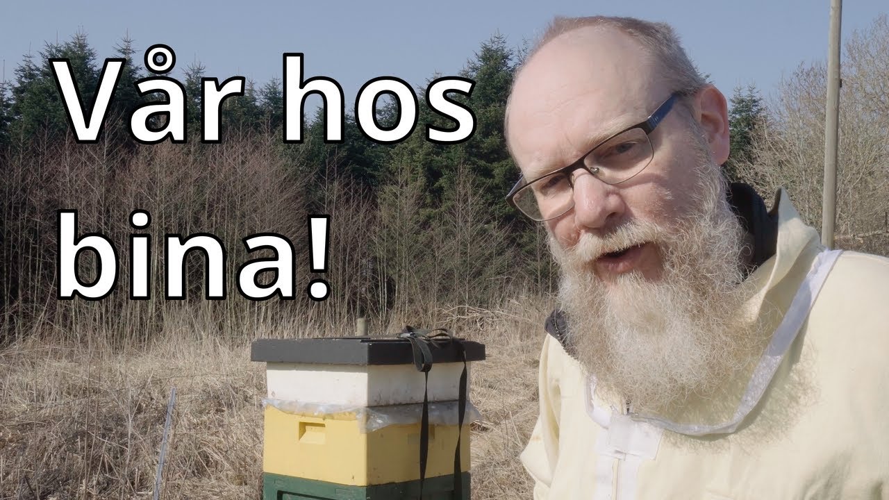 Vårkontroll av bina och drivfodring