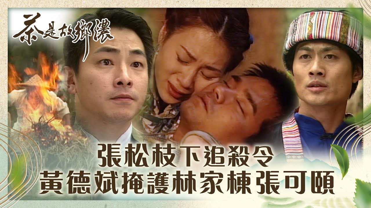 茶是故鄉濃｜張松枝下追殺令 黃德斌掩護林家棟張可頤 (繁／簡字幕)｜第三十集精華｜林家棟｜張可頤｜蘇玉華｜TVB港劇精華
