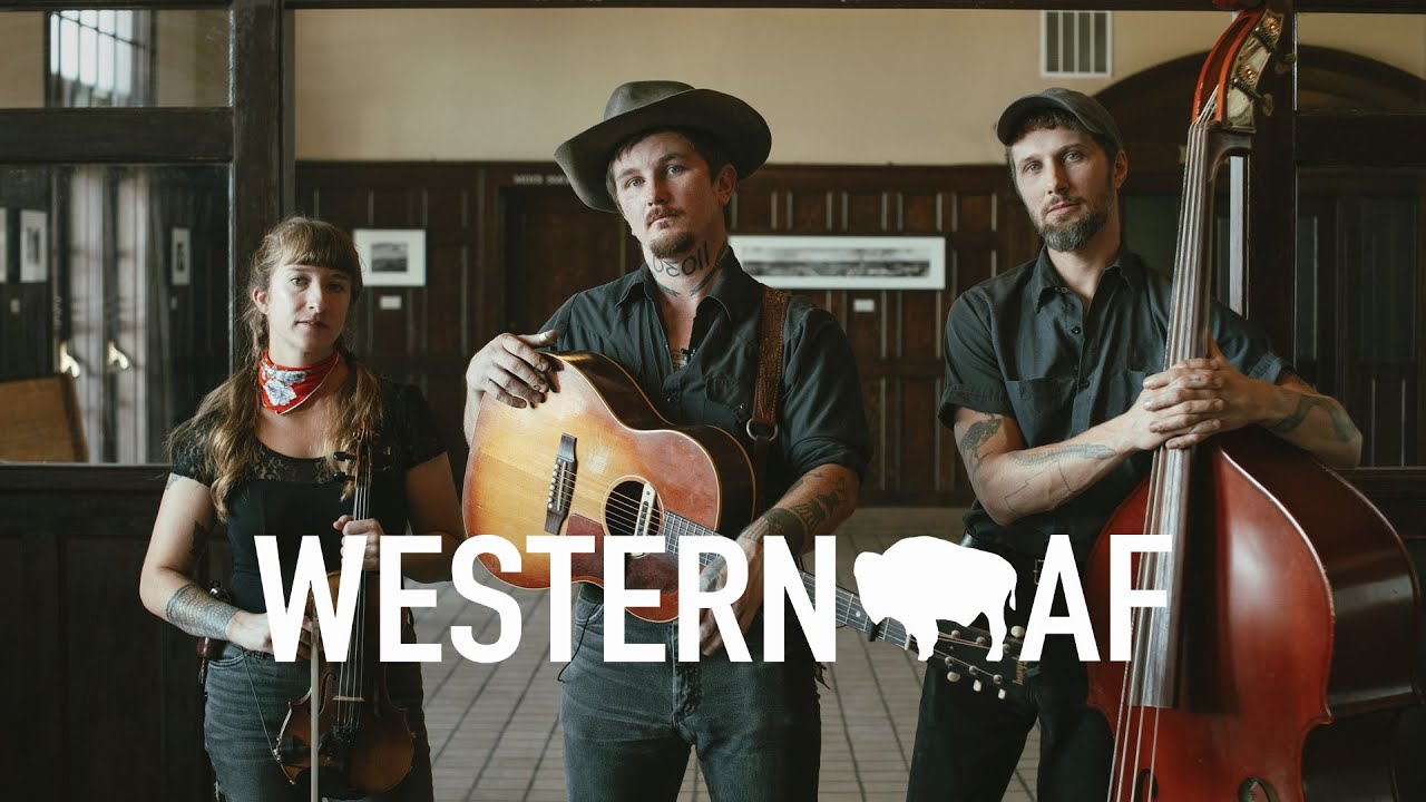 Lost Dog Street Band | 