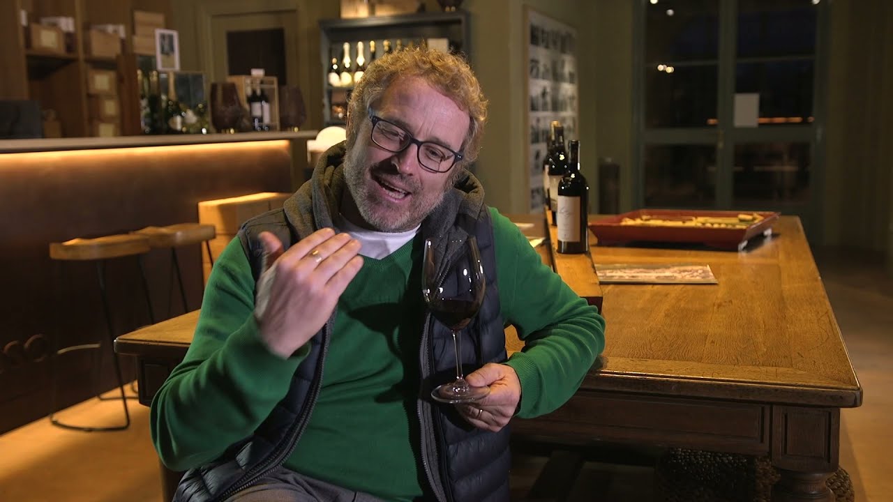 E via andare: il mare d'inverno tra Bolgheri e Castagneto Carducci