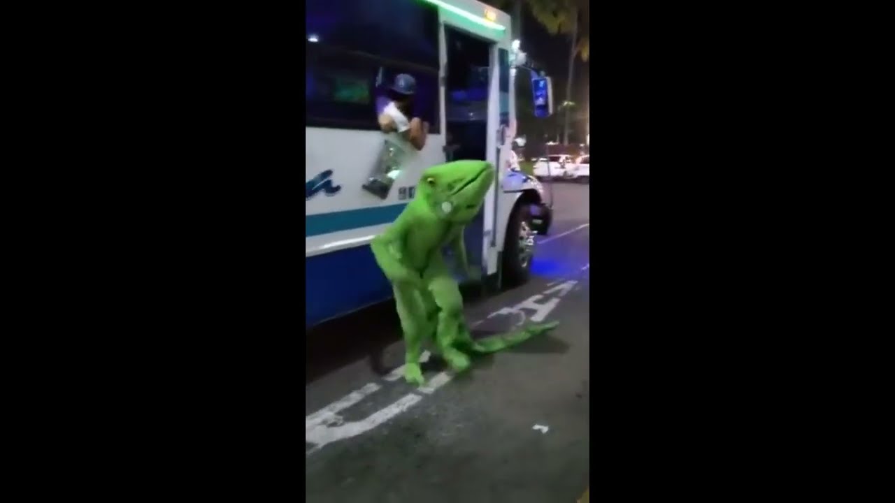Botarga de Iguana para animaci&oacute;n de eventos.