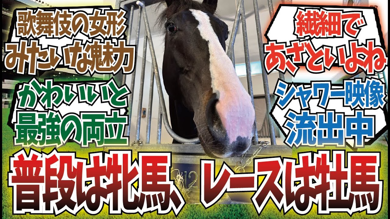 「イクイノックスは牝馬」に対するみんなの反応集