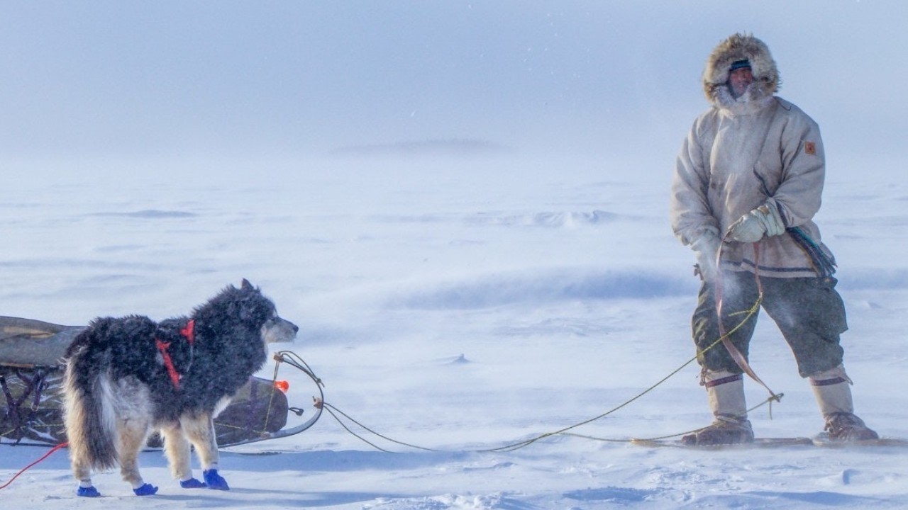 We explored an EXTREME environment for 43 days: remote catch & cook with a husky (Labrador)
