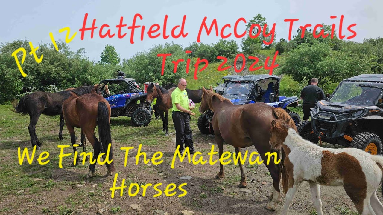 Pt 12/ Hatfield McCoy Trails Trip 2024/ We Find The Matewan Wild Horses  !