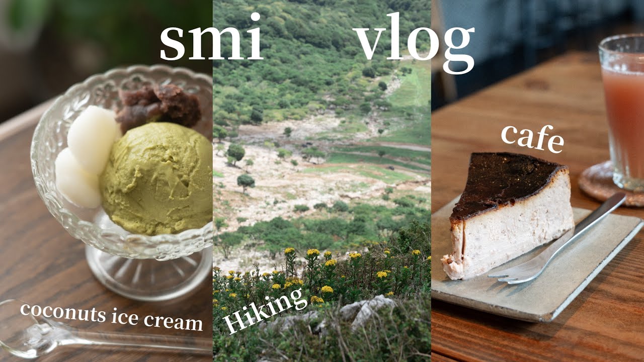 vlog 回復を待ちながら小さく楽しむ夏日常 / 山歩きとチーズケーキ専門店 / 手作りアイスクリームとビビンうどん作り