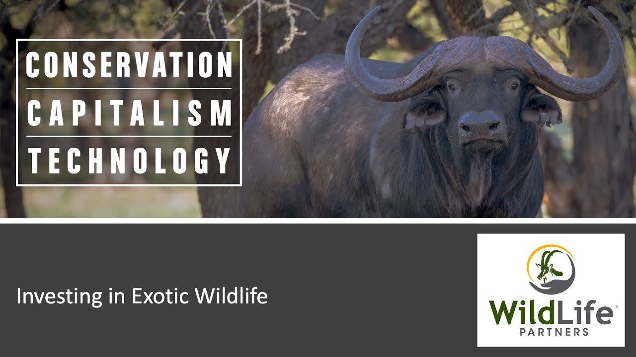 Investing in Exotic Wildlife, Brian Gilroy, May 6, 2023