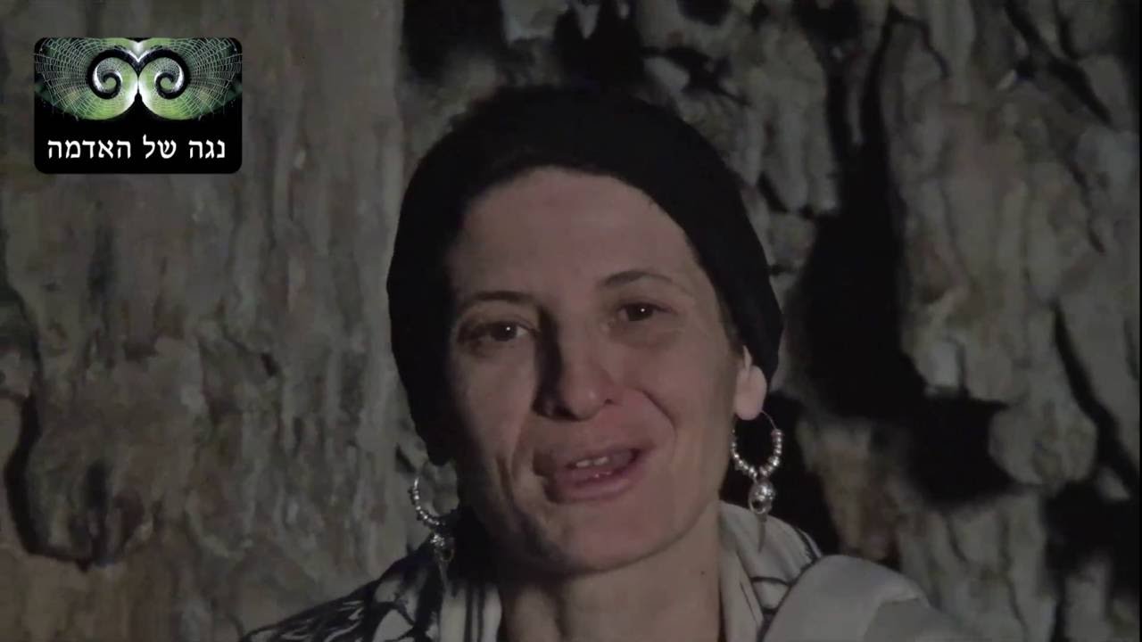 יצירת מציאות בדרך השאמנית עם נוגה אדמה - חלק 2