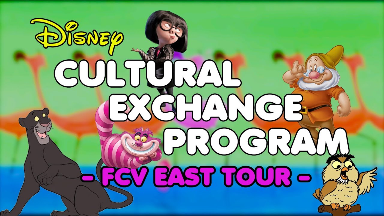 🇦🇺 DISNEY CULTURAL EXCHANGE PROGRAM | Flamingo Crossings East Tour
