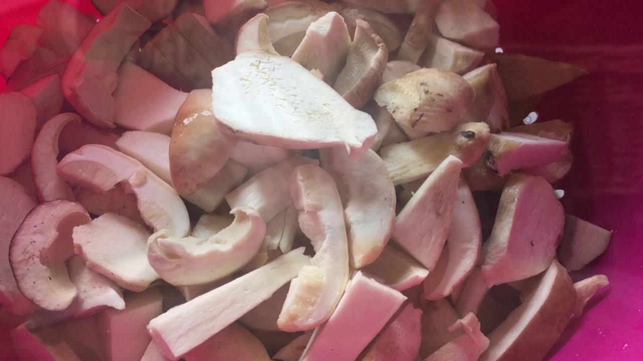How to Preserve Mushrooms Porcini | Getting Sticks in the Forest | Trekking  from Home to Dolomites