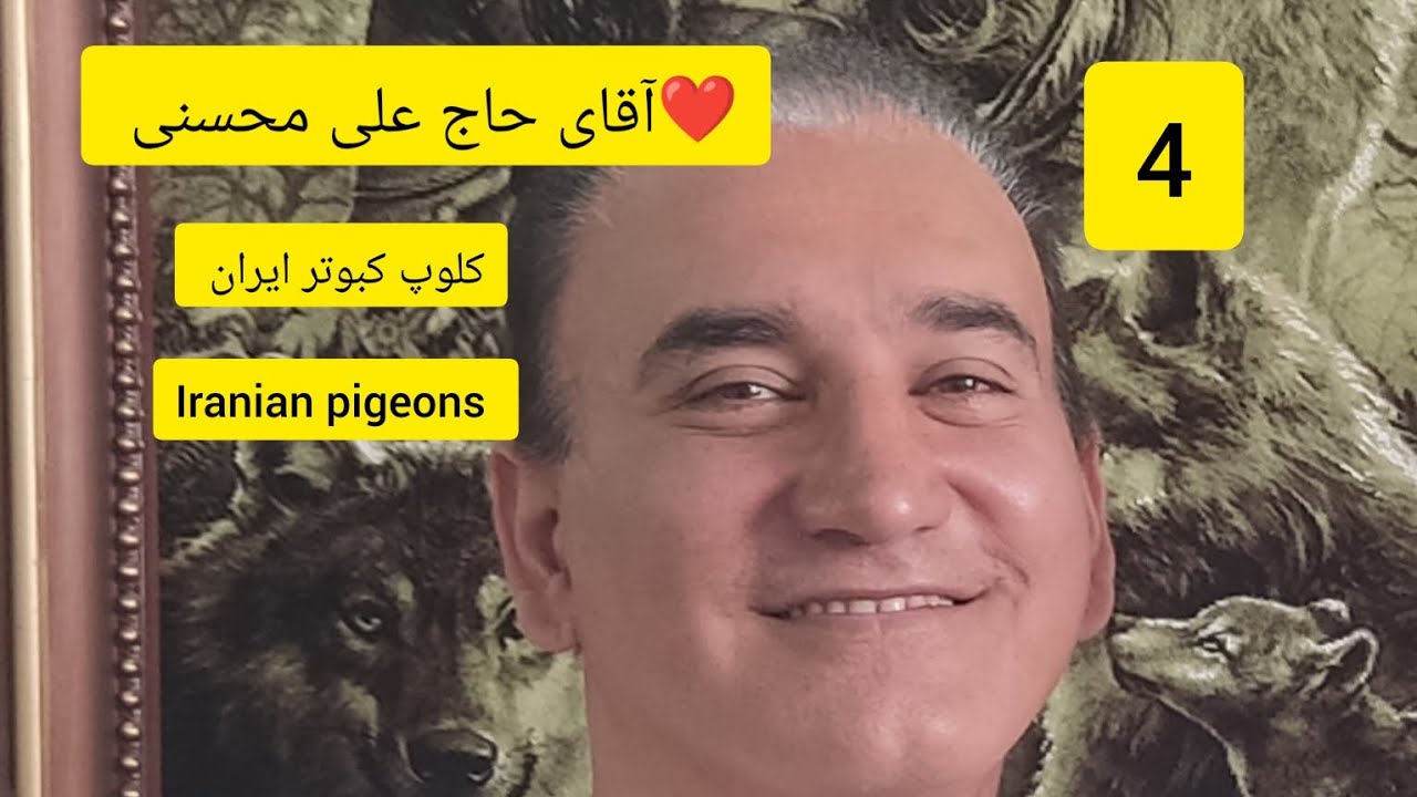 ❤️گزارش و مصاحبه 4 با آقای حاج علی محسنی (علی شرمن) از تهران _ فتح Iranian high flyers pigeon