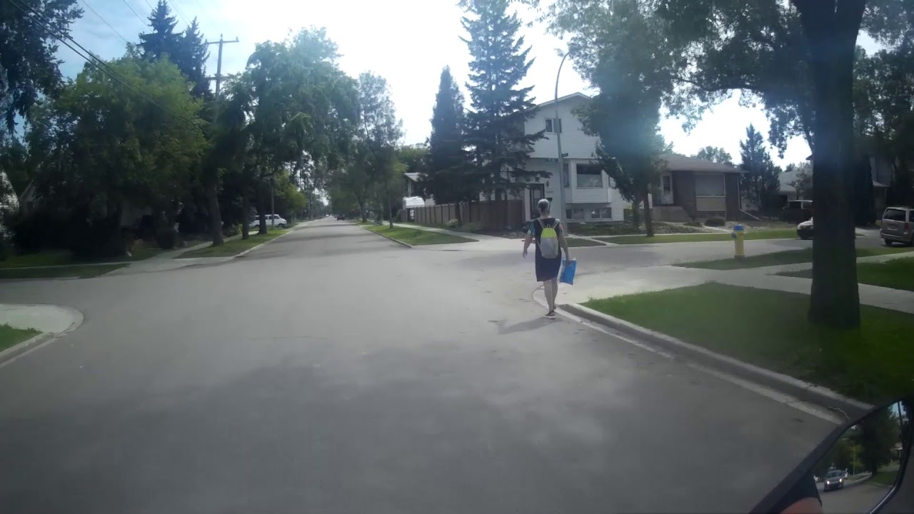 DUMBA** PED WALKING ON THE RD