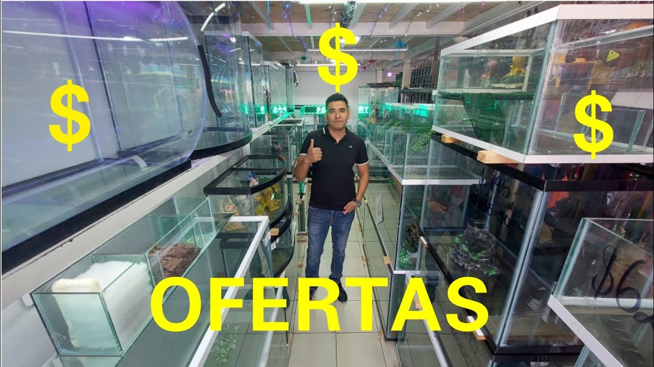 LOS ACUARIOS MAS BARATOS DE TODO EL MERCADO MIXHUCA: PETS GARDEN