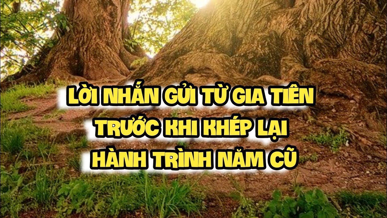 LỜI NHẮN GỬI TỪ GIA TIÊN TRƯỚC KHI KHÉP LẠI HÀNH TRÌNH NĂM CŨ (Chọn tụ & Timeless)