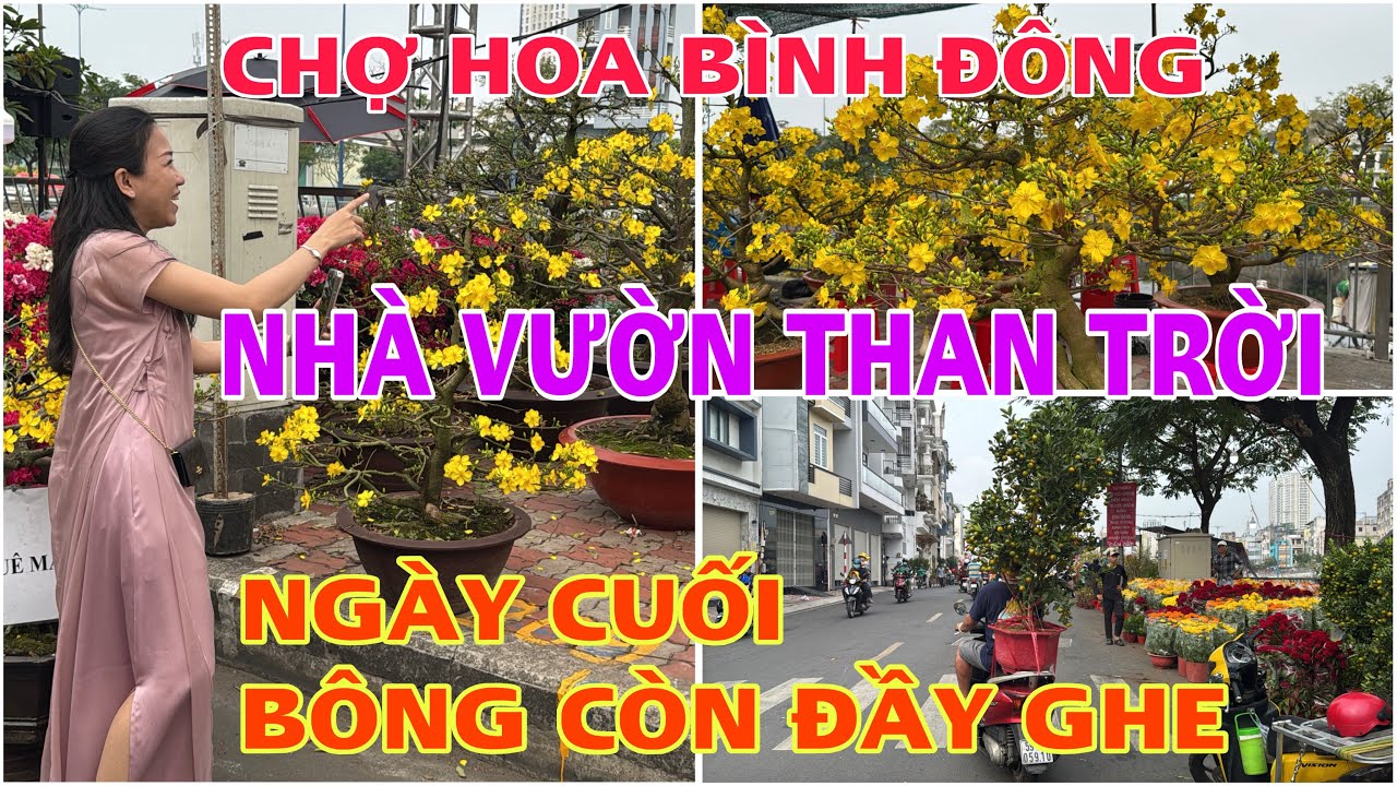 Tập 2969 CHỢ HOA BÌNH ĐÔNG NHÀ VƯỜN THAN TRỜI NGÀY CUỐI BÔNG CÒN ĐẦY GHE