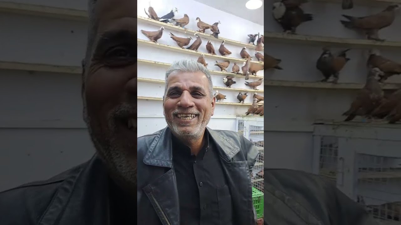 جولة في سوق الكسرة لطيور