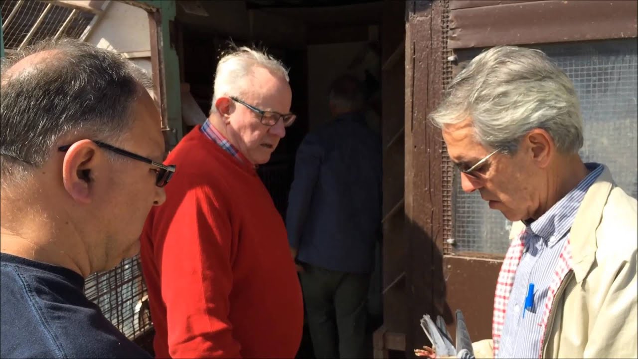 Octávio Ribeiro Luc de Roeck Bélgica 04 2015