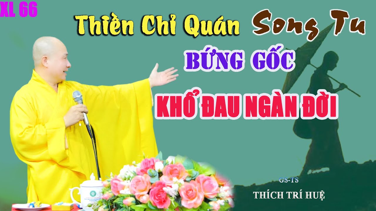 Vô Minh và Phiền Não Sợ Nhất 2 Pháp Này - Cực hay. Thầy Thích Trí Huệ XL 66