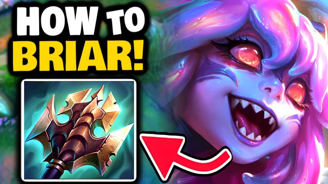 Bri-her? I BARELY know her! | Briar Jungle in-depth guide for those that have their mind open stuff