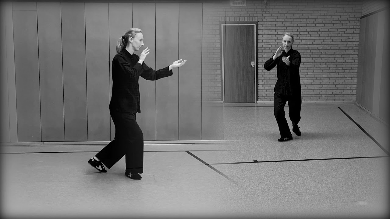 24er Pekingform zwei Perspektiven | Tai Chi 24 form