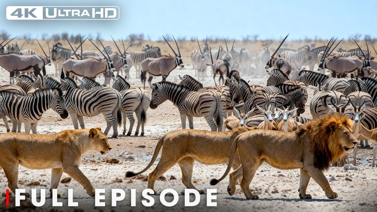 Ultimate Predators: Animals Battling for Survival | FULL EPISODE | Nature Animal Documentary