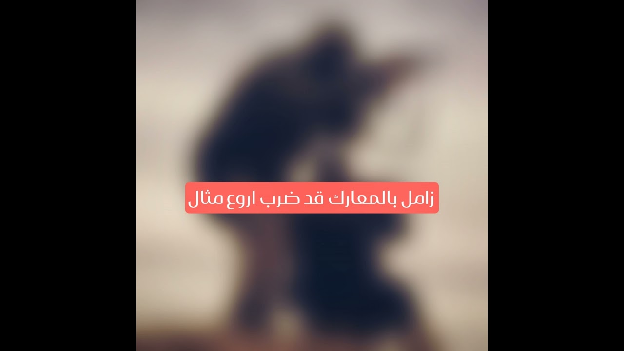 زامل بالمعارك قد ضرب اروع مثال