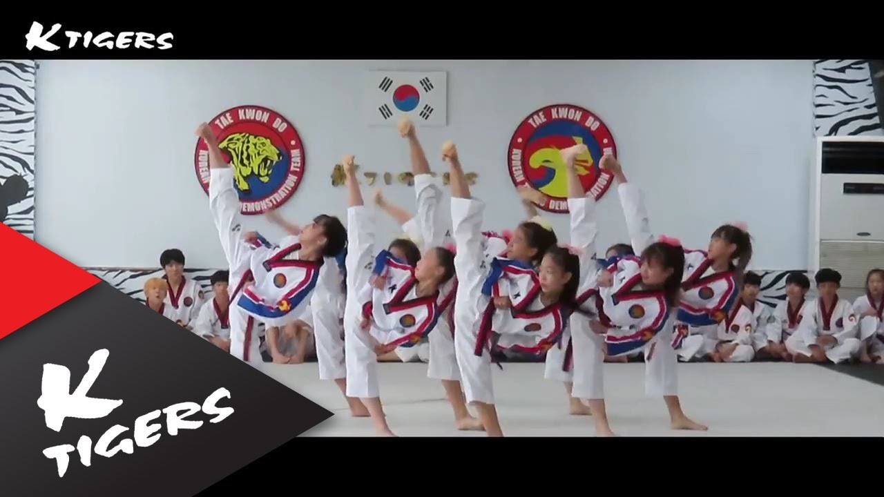 [Fancy+come and get it(remix)] Taekwon Dance ver.