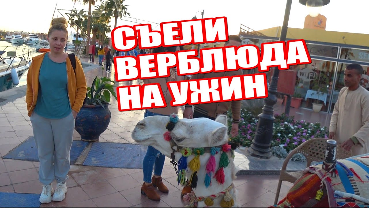 ГДЕ ОТВЕДАТЬ ВЕРБЛЮДА В ХУРГАДЕ?Набережная Марина - кусочек Европы в Египте