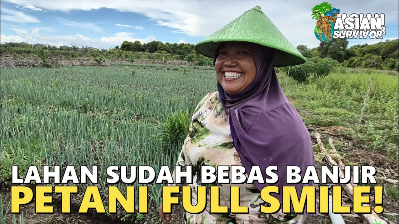 AWALNYA SERING GAGAL PANEN, KINI PETANI INI BAHAGIA BISA PANEN BELASAN JUTA DARI LAHAN TRANSMIGRASI
