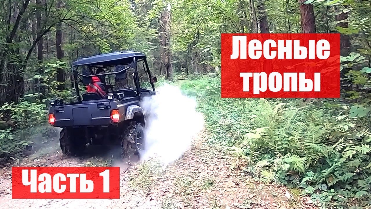 Расчищаем лесные тропы от поваленных деревьев
